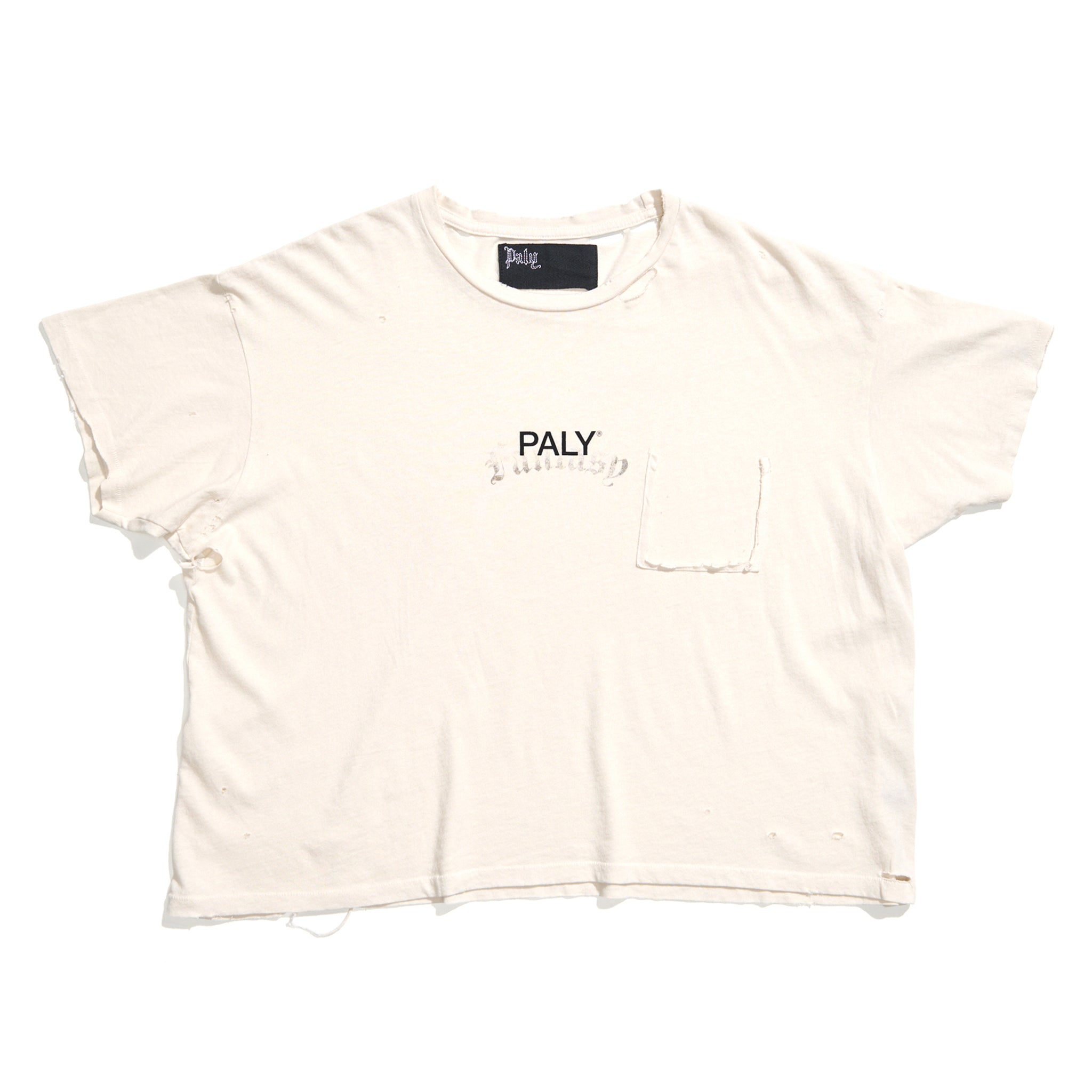 CORE LOGO TEE - Paly Hollywood