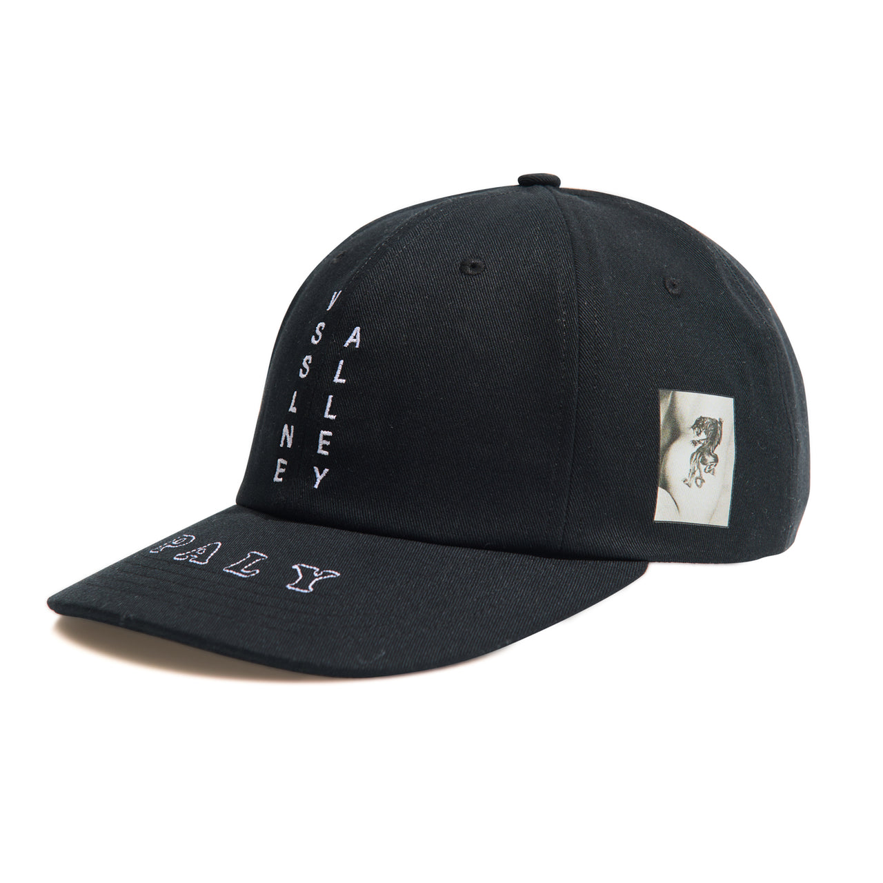 VSSLNE ALLEY LOW PROFILE HAT